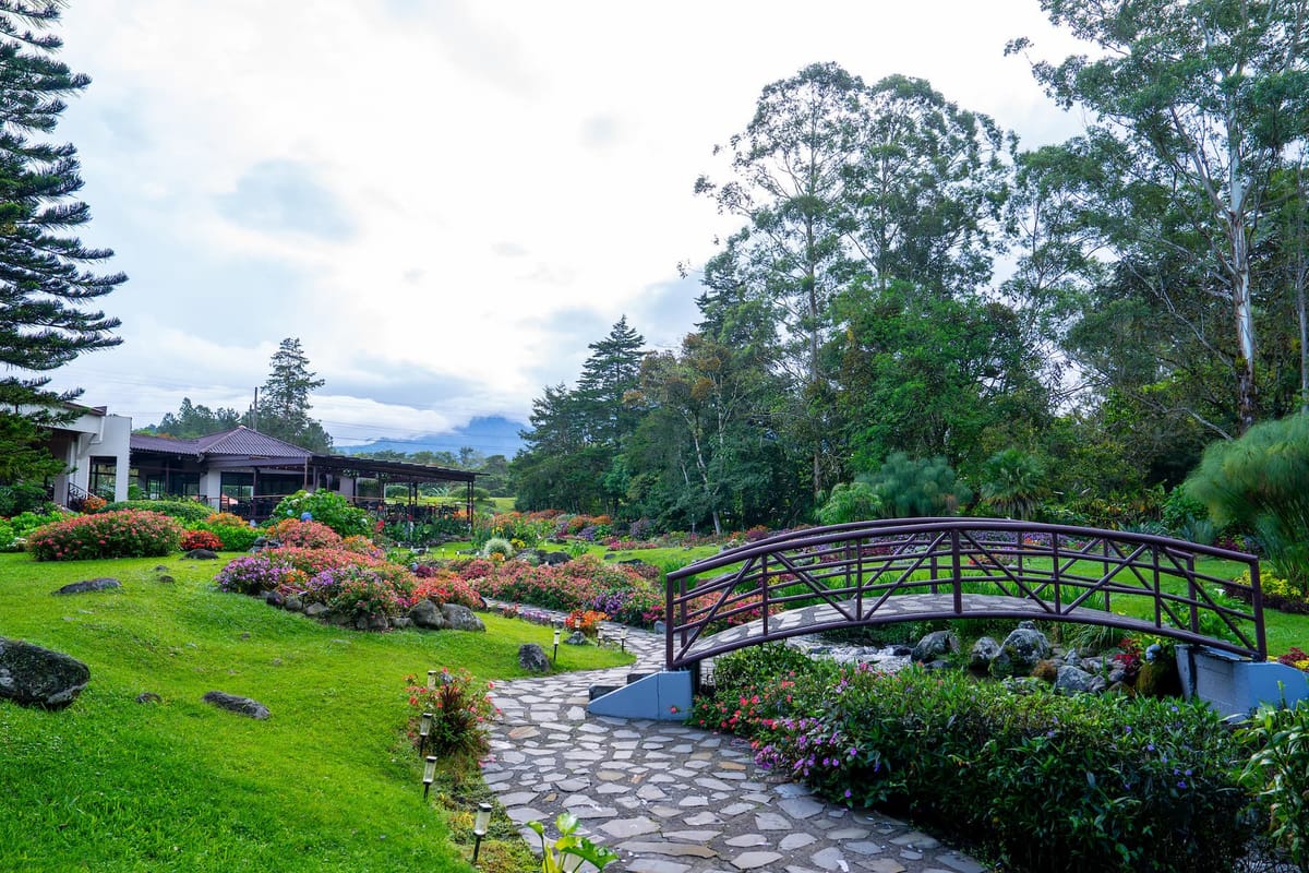 Apreciar la tranquilidad